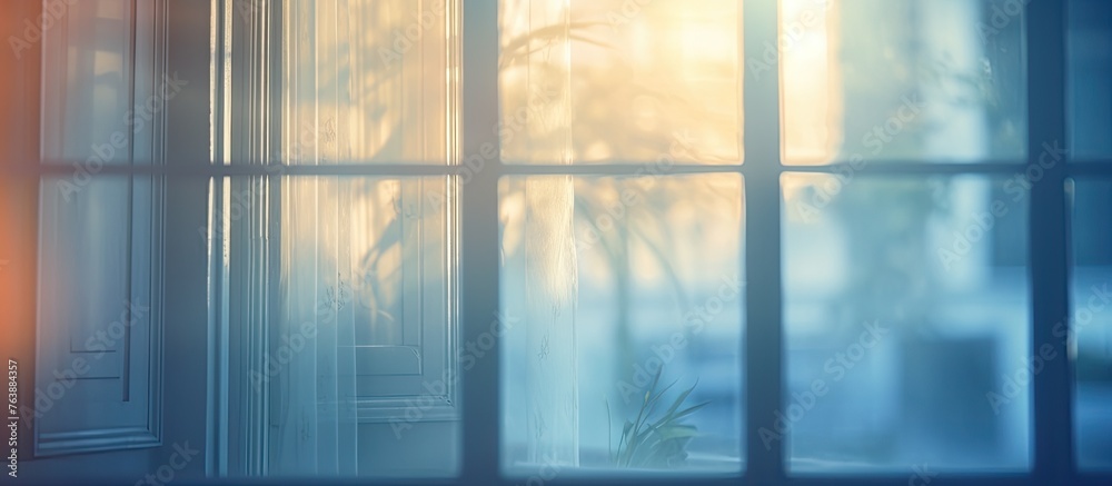 Fototapeta premium A view of a plant placed on a windowsill with a window in the background