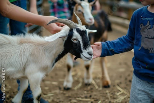 child petting a goat in a petting zoo