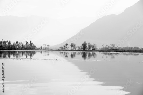 Nagin Lake, Dal Lake, Srinagar, Kashmir, Jammu and Kashmir, India, Asia photo