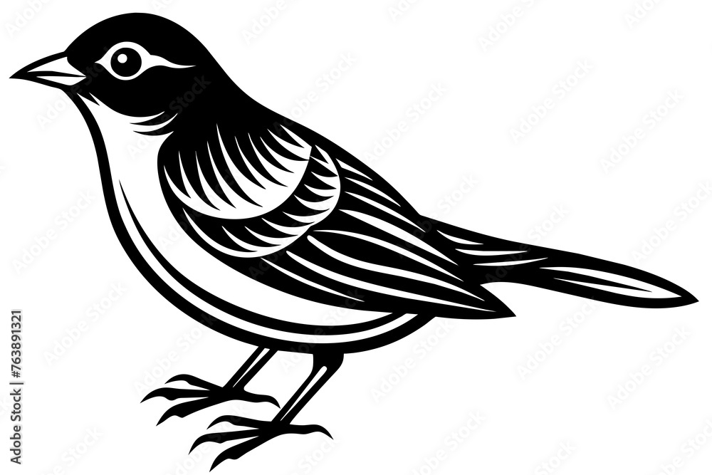 Obraz premium bird silhouette vector and illustration