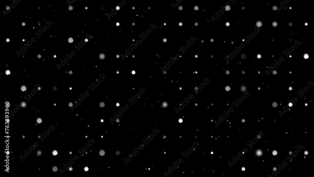 Template animation of evenly spaced chamomile flowers of different sizes and opacity. Animation of transparency and size. Seamless looped 4k animation on black background with stars Template animation of evenly spaced chamomile flowers of different sizes and opacity. Animation of transparency and size. Seamless looped 4k animation on black background with stars