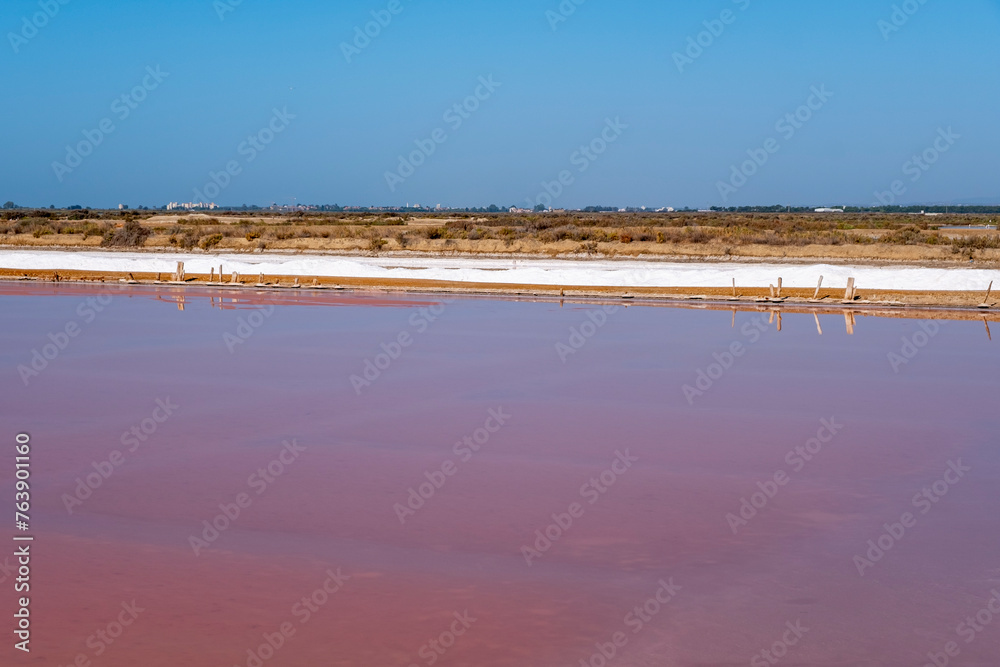 Salt industry. Salt flower. Industrial exploitation of salt growing in the pools of seawater between the marshes on the Atlantic coast. Salt industry. Salt flower. Industrial exploitation of salt growing in the pools of seawater between the marshes on the Atlantic coast.
