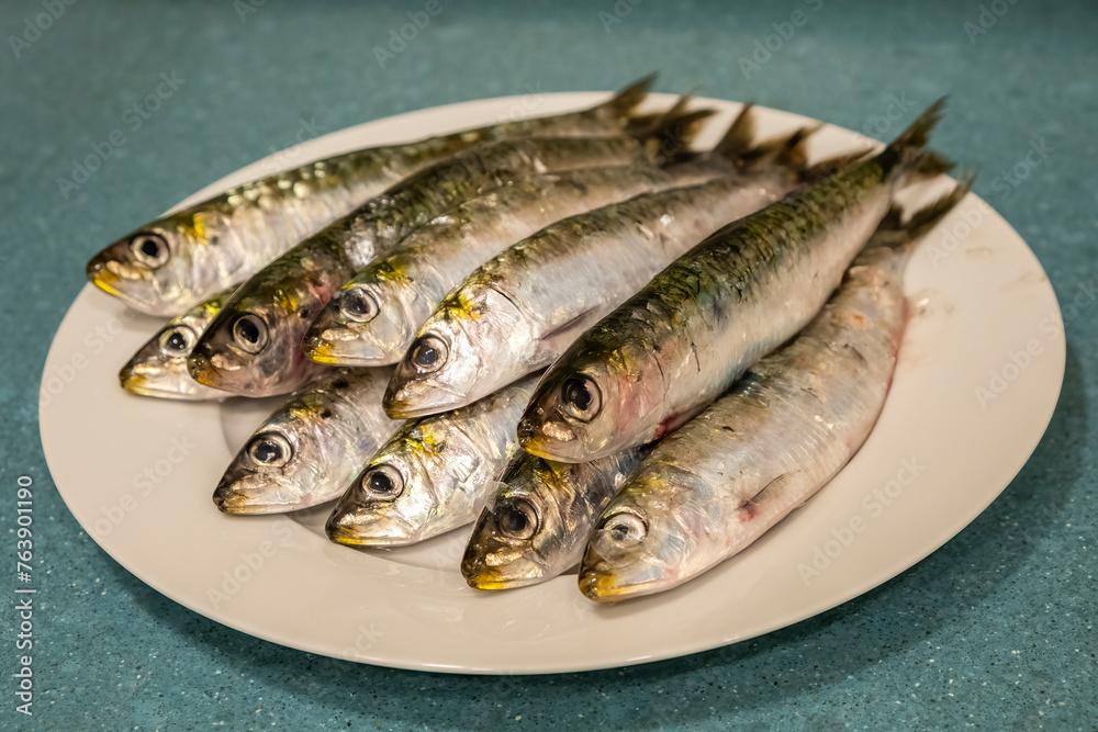 Half a dozen appetizing raw and fresh sardines from the Atlantic Ocean, on a plate. Purchased at the market and from a recently arrived ship. Fishing industry. Healthy and quality foods. Half a dozen appetizing raw and fresh sardines from the Atlantic Ocean, on a plate. Purchased at the market and from a recently arrived ship. Fishing industry. Healthy and quality foods.