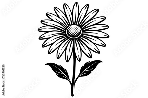 Daisy silhouette  vector and illustration