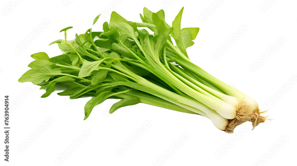 Leeks isolated on transparent background Leeks isolated on transparent background