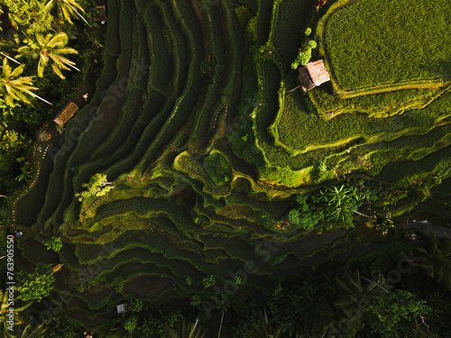 Aerial photography from a drone  landscape  view of the rice terraces.