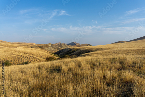 Mountain savannah landscape. Mountain peaks are visible. Dry orange grass.  Light blue sky with clouds.