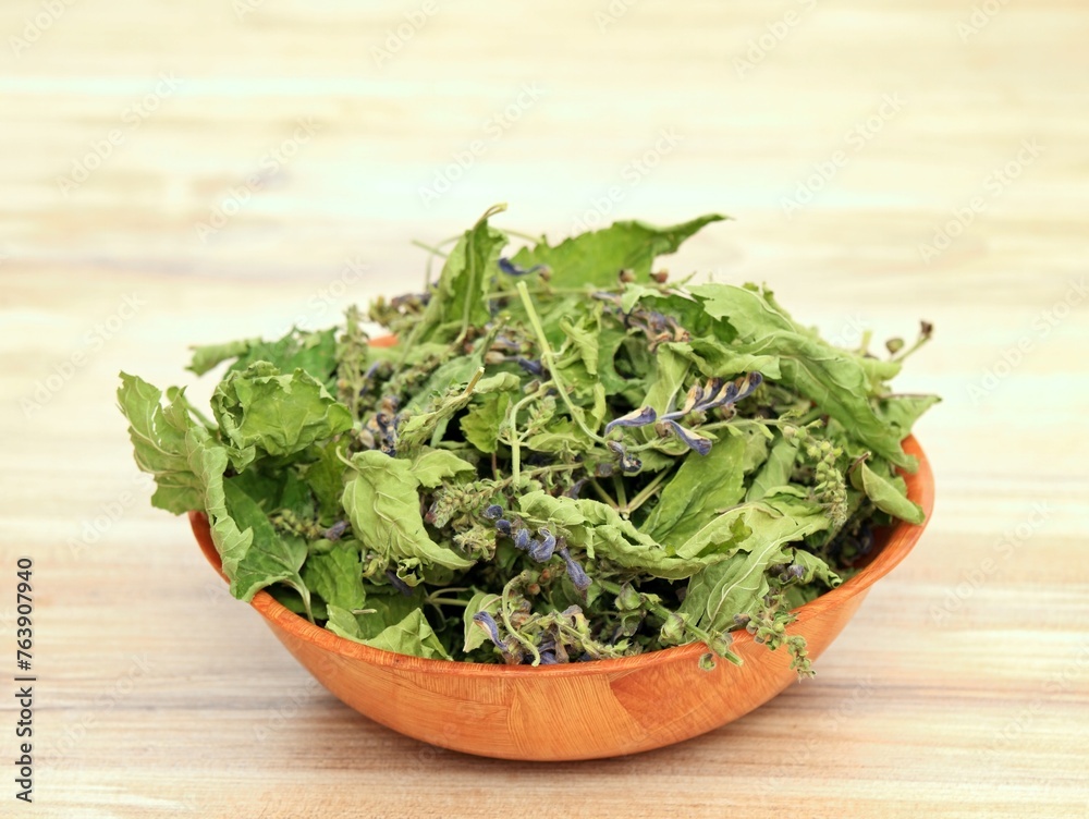 Dried Scutellaria lateriflora, known as blue skullcap or mad dog skull cap in the basket. Herb is used in traditional medicine, originating from America. Dried Scutellaria lateriflora, known as blue skullcap or mad dog skull cap in the basket. Herb is used in traditional medicine, originating from America.