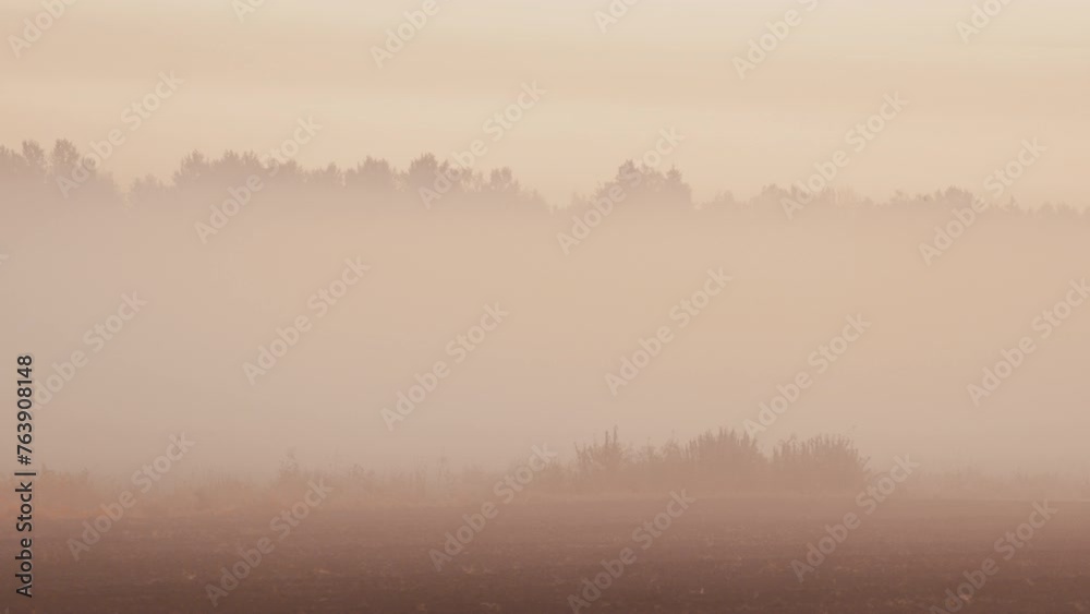 Mystical Twilight: Fog Blanketing Wild Fields with Enchanting Forest Mystical Twilight: Fog Blanketing Wild Fields with Enchanting Forest
