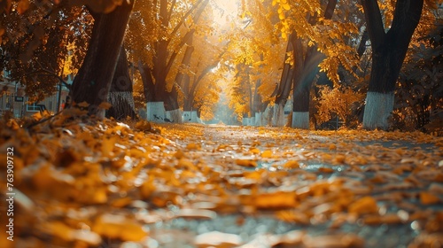 Autumn Alley with Beautiful Golden Colors and Leaves. Foliage, Leaf, Fall, Forest, Tree, Path, Road, Light, Background, Wallpaper, Season, Wood, Sun, Gold 