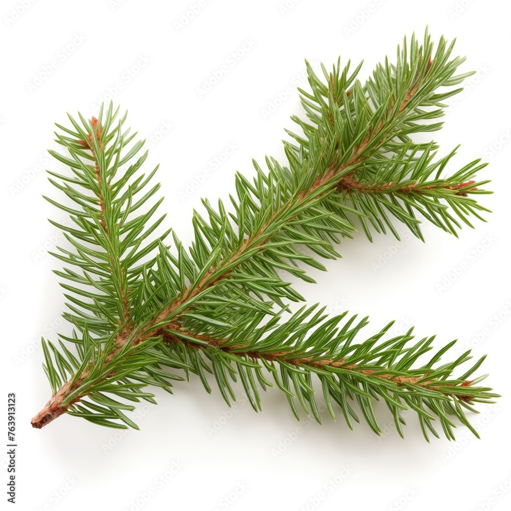 Branch of green Balsam on a white background. AI