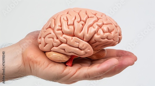 Hand holding human brain model with neuron hologram lines on white background for scientific study