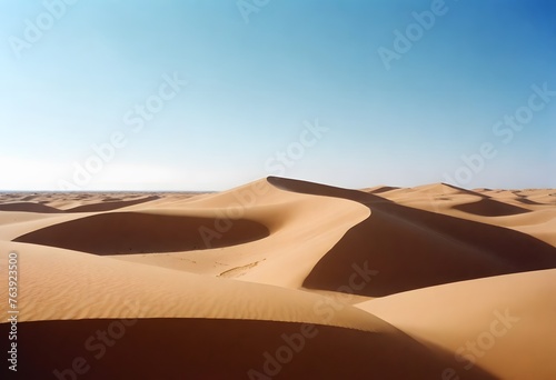 beautiful shot desert sand with bushes clear sky