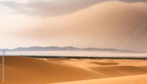 beautiful shot desert sand with bushes clear sky