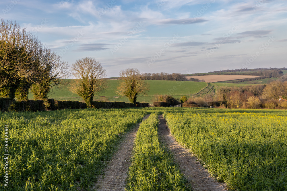 A pathway through farmland in Sussex on an early spring afternoon
