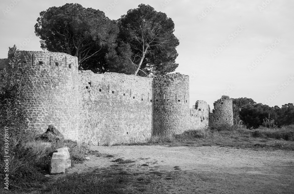 ruins of the castle ruins of the castle