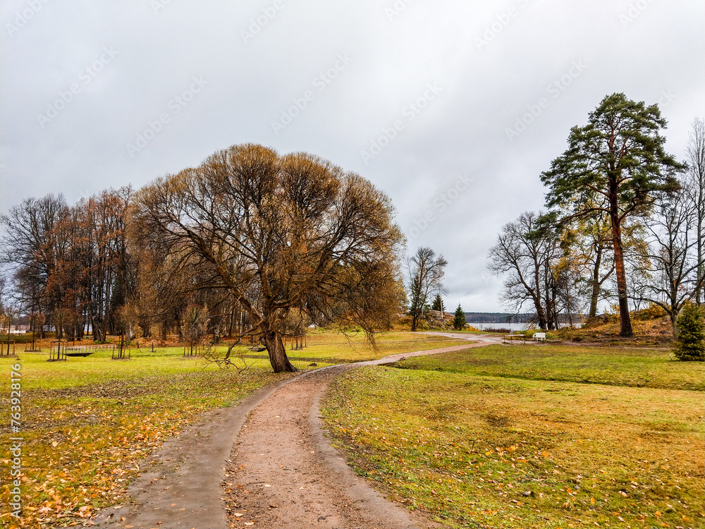 autumn landscape with trees autumn landscape with trees