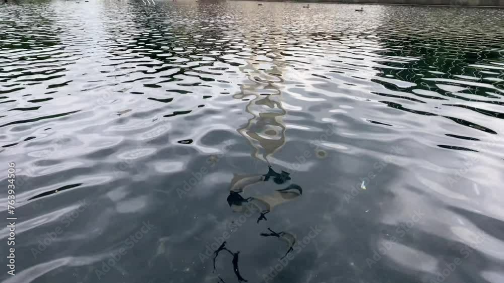 Fish pond From Above - Reflecting Water Surface in the morning. Reflection of a statue in a fish pond