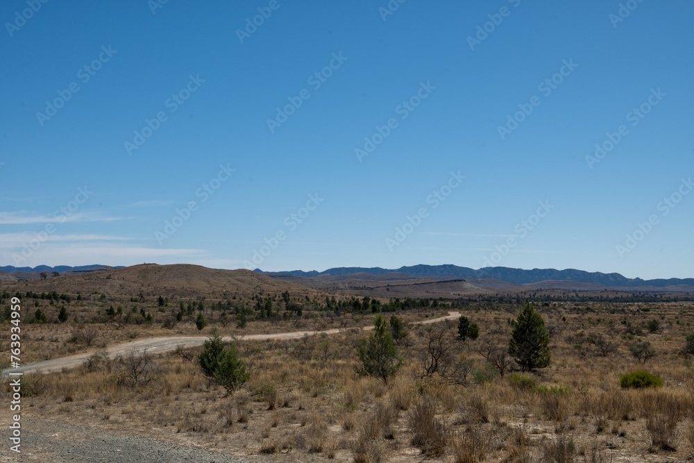 Gravel Road Leading through Scrubland