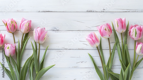 Pink tulips arranged on a white wooden background, copy space, festive background #763937917