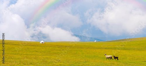 Beautiful nature of Kazakhstan on the Assy plateau. White yurt with sheeps nearby under the rain clouds and rainbow.