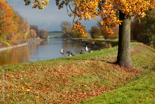 Herbstlandschaft mit Isarkanal, Bayern, Deutschland, Europa  photo