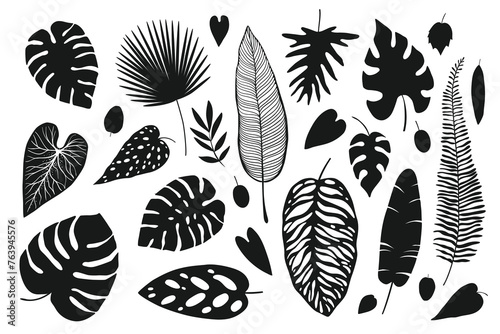 Set of black silhouettes of tropical leaves palms, trees.