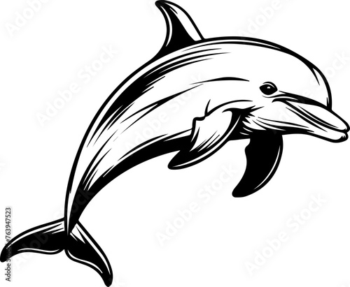 Black Dolphin Vector Illustration
