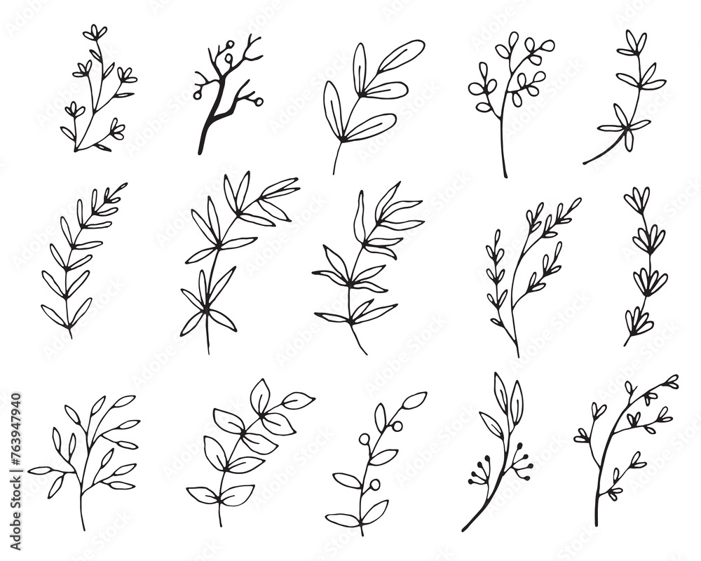 Fototapeta premium Vector branches and leaves.
