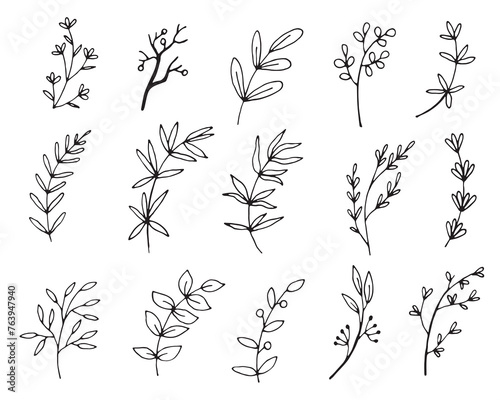 Vector branches and leaves.