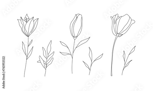Hand drawn wild field flora  flowers  leaves  herbs  plants  branches. Minimal floral botanical line art. Vector illustration for logo or tattoo  invitations  save the date card. 