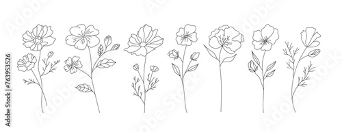 Hand drawn wild field flora, flowers, leaves, herbs, plants, branches. Minimal floral botanical line art. Vector illustration for logo or tattoo, invitations, save the date card. 
