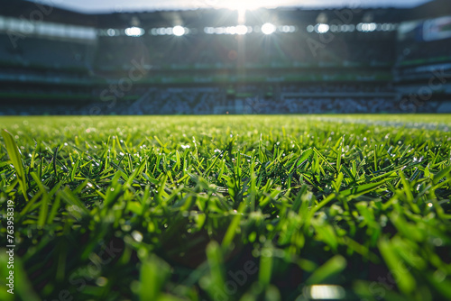 Close-up of fresh green soccer field grass with sunlight flare