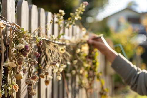 gardener fixing a garland of dried flowers on fence