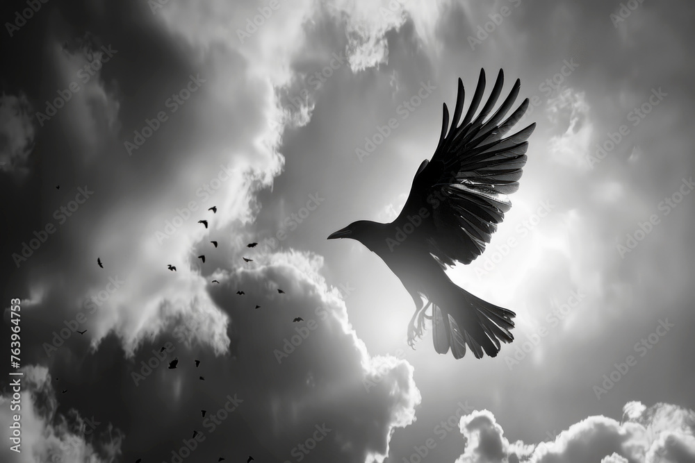 Fototapeta premium Pájaro volando a contraluz sobre el cielo en blanco y negro.