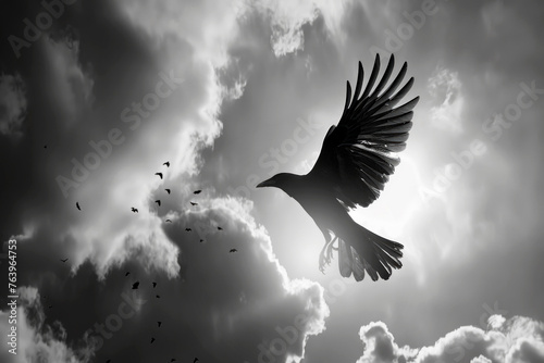 Pájaro volando a contraluz sobre el cielo en blanco y negro.