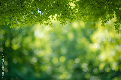 Green leaves background in the forest with bokeh light from sun