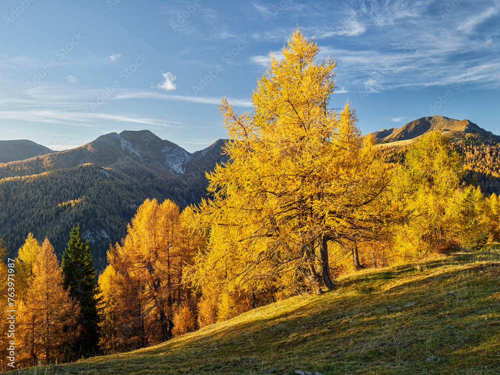 Fototapeta premium herbstliche Nockberge, Pfannnock, Plattnock, Gurktaler Alpen, Kärnten, Österreich
