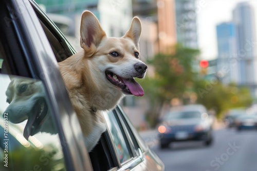 dog with head out car window, tongue out, driving through city © Alfazet Chronicles