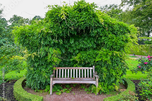A wooden bench framed by a green bush with leaves, break in the Sofiero Palace Gardens park in the Sofiero Castle, Sofiero Slott och Slottsträdgard in Helsingborg, Sweden	
 photo
