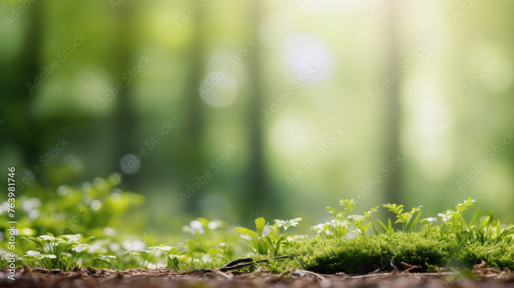 Close up ground landscape In the green forest. Close up ground landscape In the green forest.