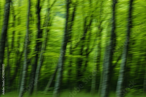 Green forest background in motion blur  abstract photo of summer forest
