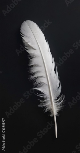 A vertical white feather exudes softness, contrasted with the dark surroundings, a study in detail and texture. AI generation