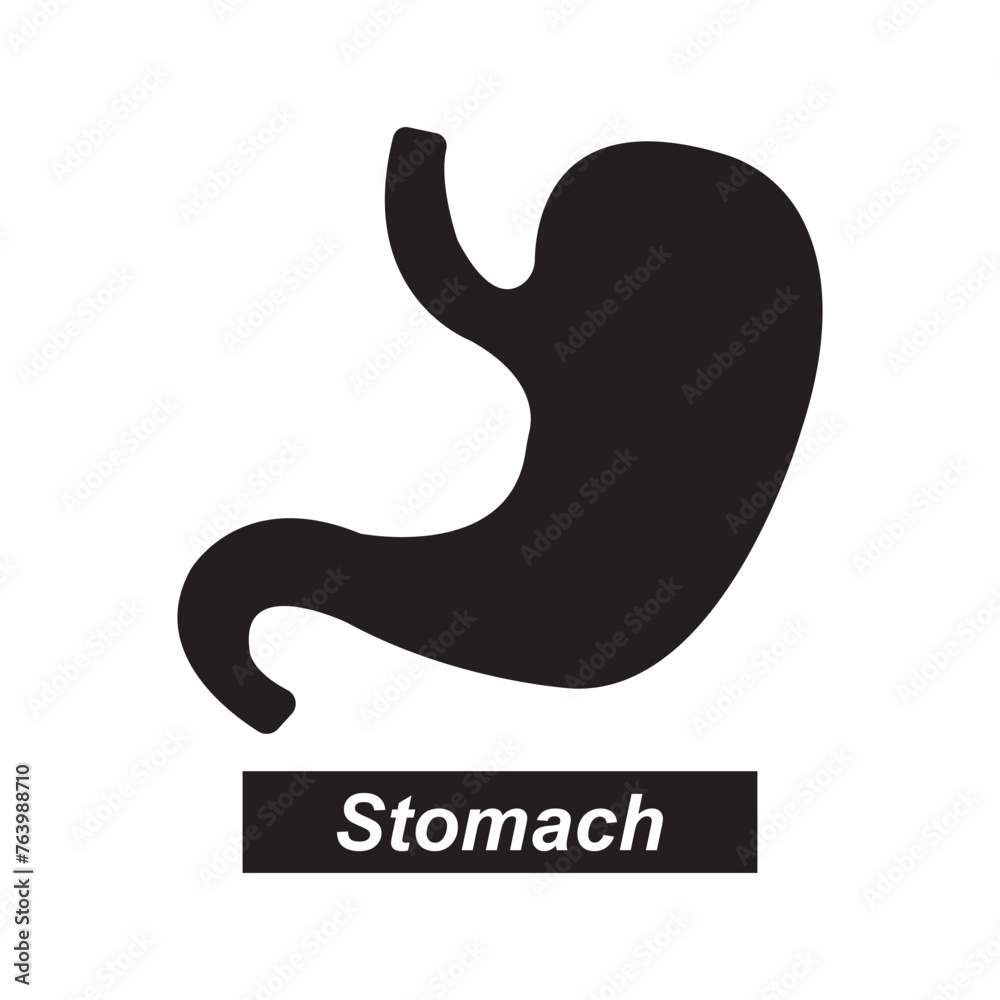 Obraz premium Stomach icon
