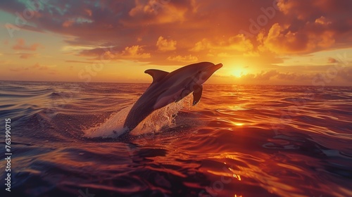 Jumping Dolphin at Ocean Sunset