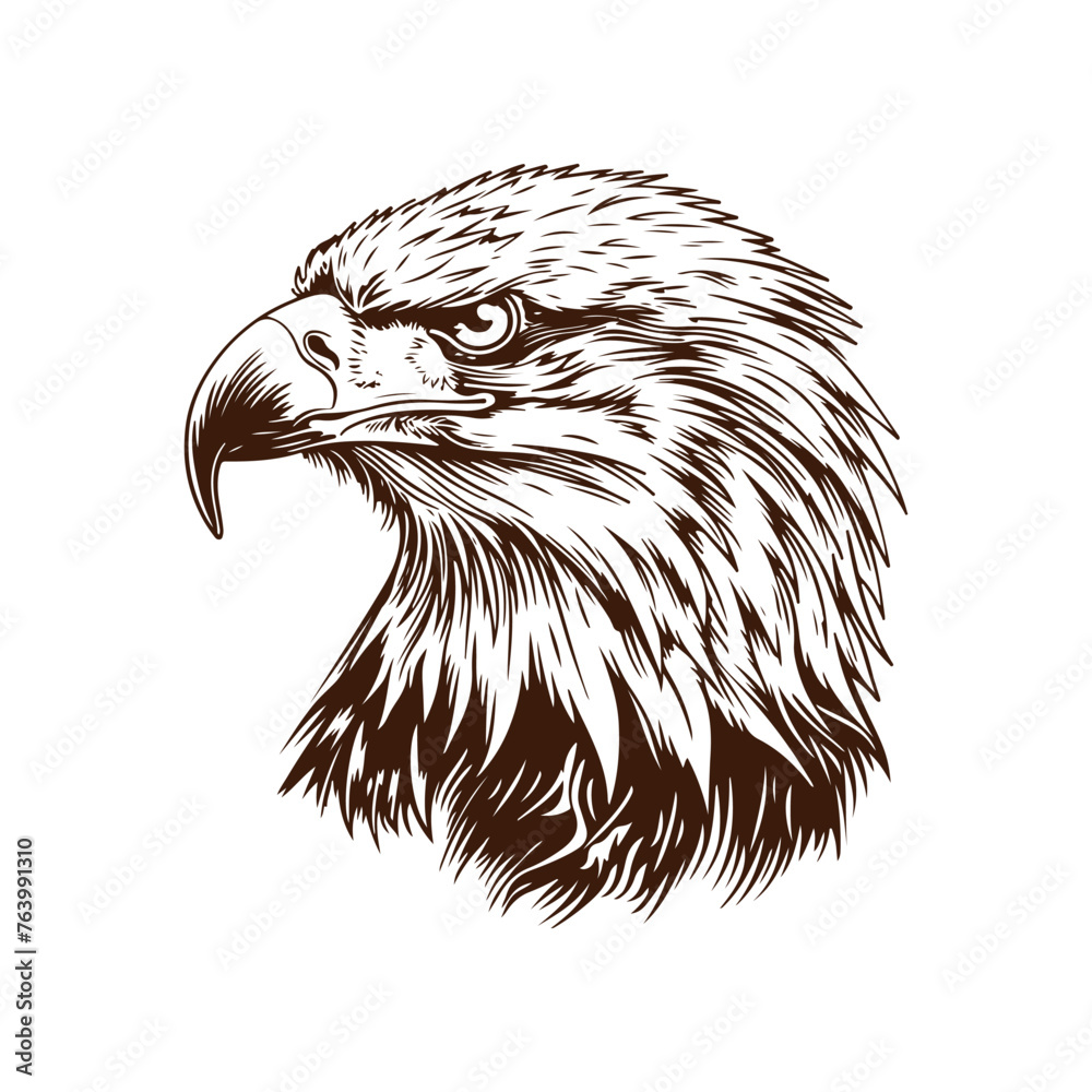 Eagle portrait sketch - Eagle head - vector illustration