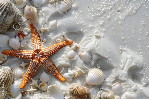 Starfish and seashells on white sand background with copy space for text.