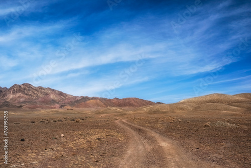 dirt road in the steppe on a sunny spring day under a beautiful blue sky