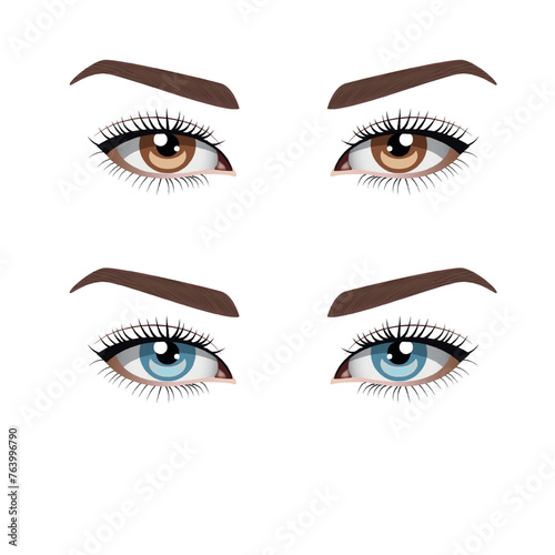 Woman eyes, brown and blue eyes, vector
