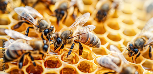 Detailed Macro Shot of Honey Bees on a Golden Honeycomb 